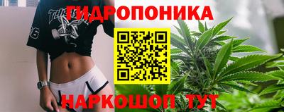 спайс Новодвинск